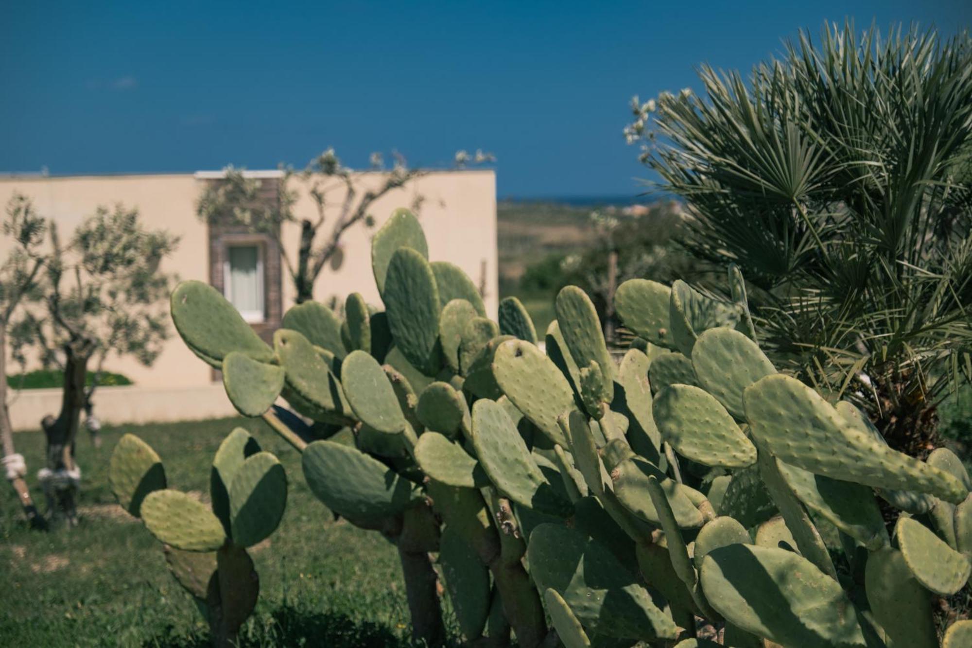 New Exclusive Lodges, Marzamemi, Noto パキーノ エクステリア 写真